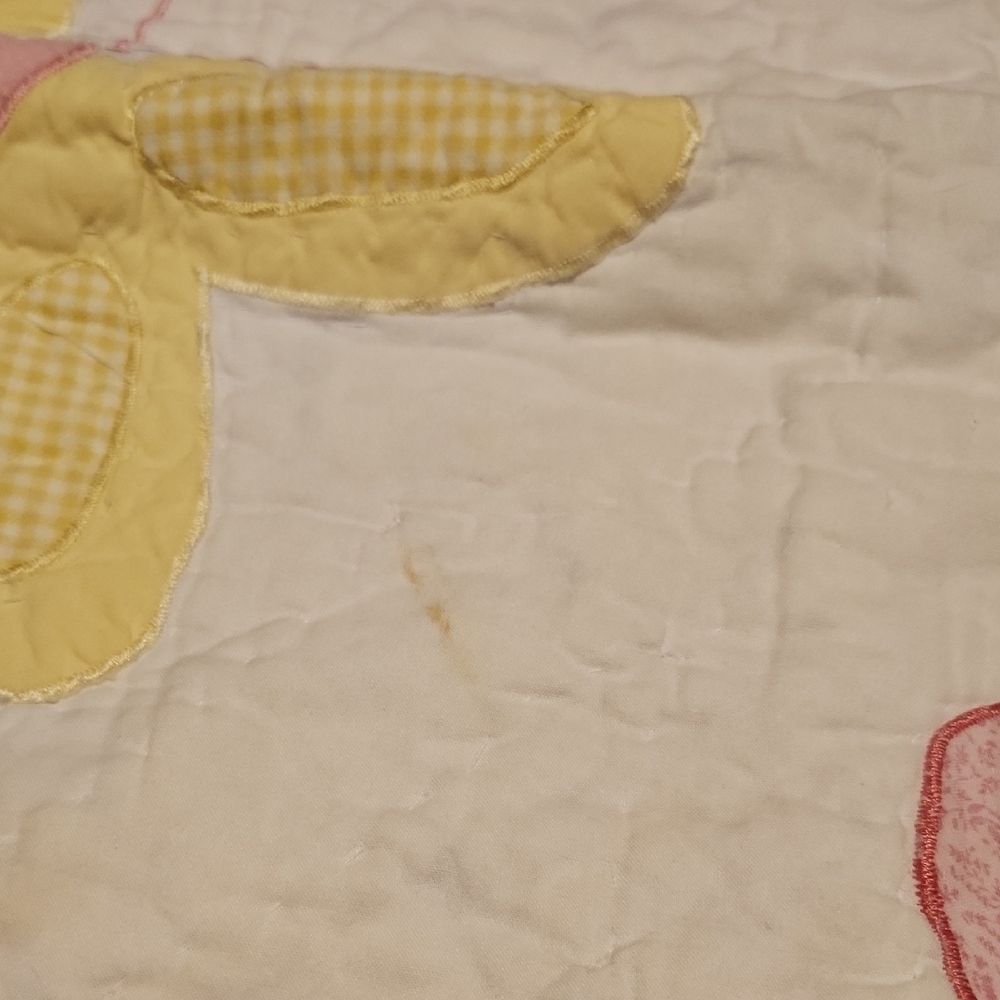 Pottery Barn Kids Quilt With Butterflies & Flowers with 2 Shams - Picture 14 of 15
